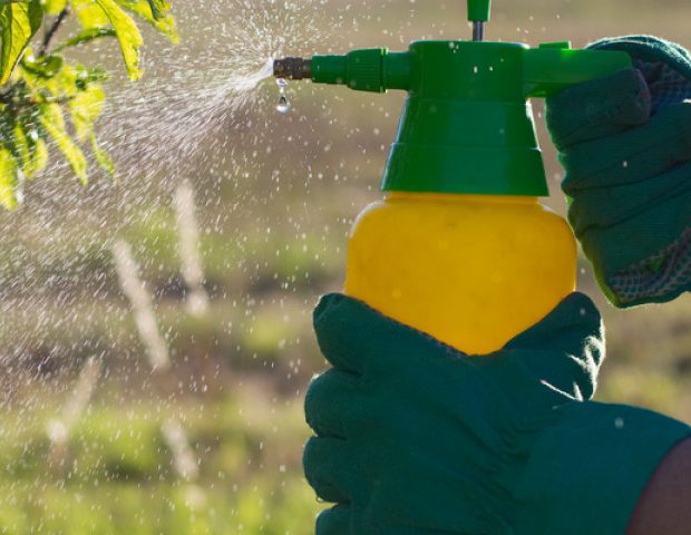 Bug-Tek : L'Insecticide à Base d'Eau Qui Allie Efficacité, Sécurité et Respect de l'Environnement | ABC Distribution